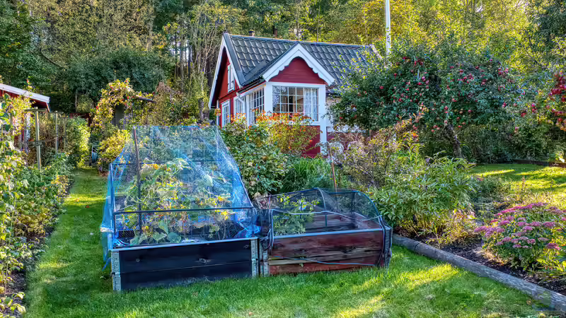 Blog: Regeln im Schrebergarten: Diese musst du nicht akzeptieren (7961)