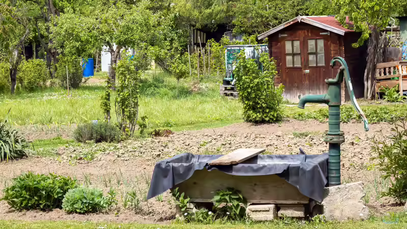 Blog: Regeln im Schrebergarten: Diese musst du nicht akzeptieren (7961)
