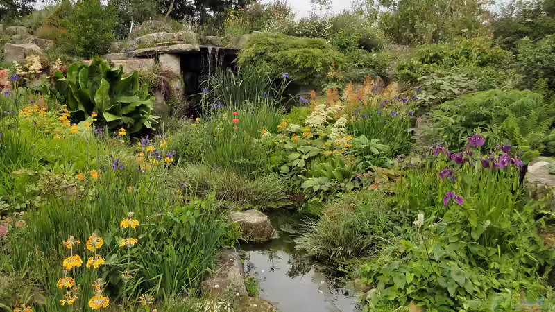 Blog: Royal Botanic Gardens - Kew, London: Ein Paradies für Garten- und Naturfreunde (7149)