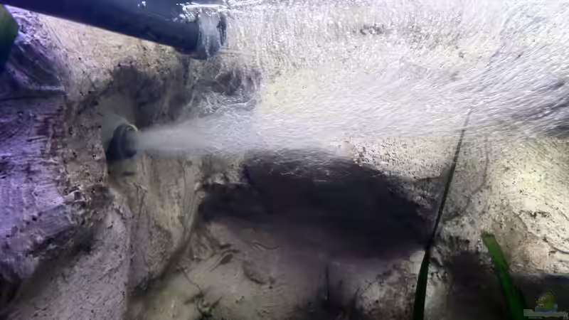 Blog: Sauerstoffgehalt im Aquarium messen - der umfassende Praxisleitfaden für Aquarianer (7767)