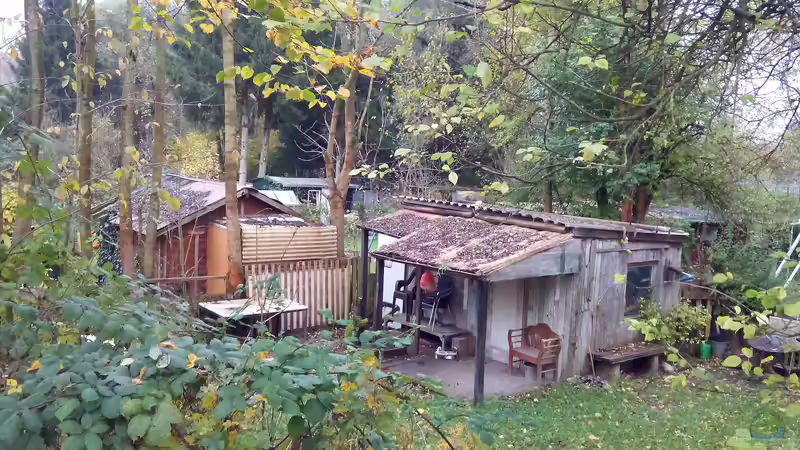 Blog: Schrebergarten: Das sind die No-Gos (6370)