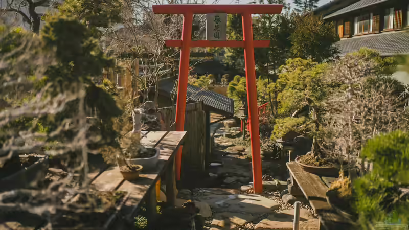 Blog: Schritt für Schritt den eigenen Garten zum Japanischen Garten umgestalten (7968)
