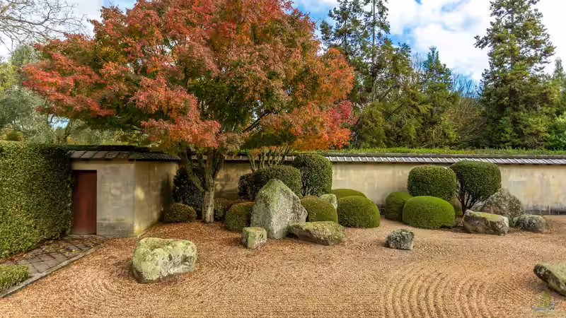 Blog: Schritt für Schritt den eigenen Garten zum Japanischen Garten umgestalten (7968)