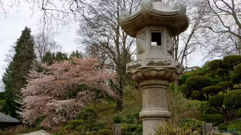 Blog: Schritt für Schritt den eigenen Garten zum Japanischen Garten umgestalten (7968)