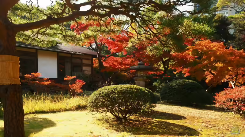 Blog: Schritt für Schritt den eigenen Garten zum Japanischen Garten umgestalten (7968)