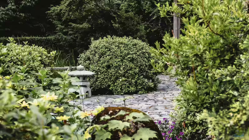Blog: Schritt für Schritt den eigenen Garten zum Japanischen Garten umgestalten (7968)