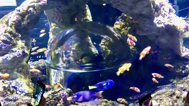Blog: Sealife Aquarium am Gardasee in Italien (5297)