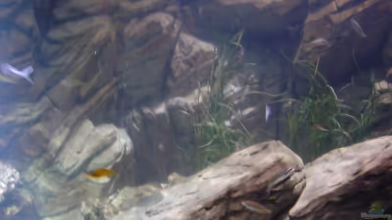 Blog: Sealife München (391)