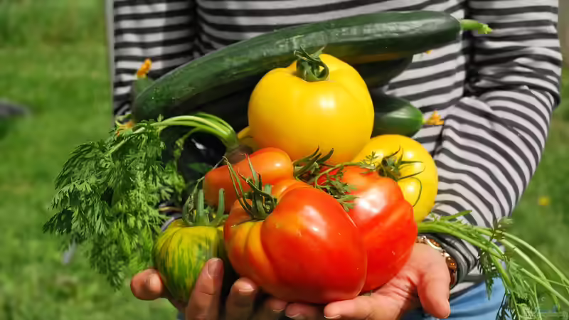 Blog: Selbstversorgergarten - Der große Praxisleitfaden für ein unabhängiges Leben aus dem eigenen Garten (7654)