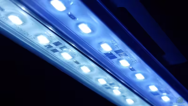 Blog: So funktioniert eine moderne LED-Beleuchtung (6589)
