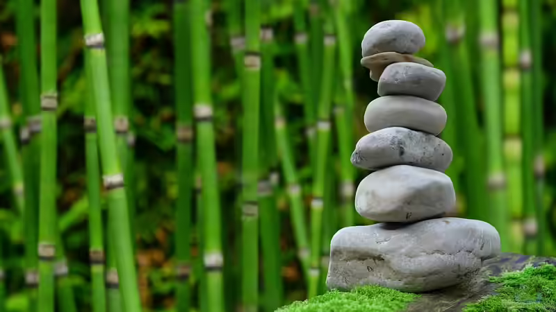 Blog: So wird der Garten zur Wellness-Oase (6587)