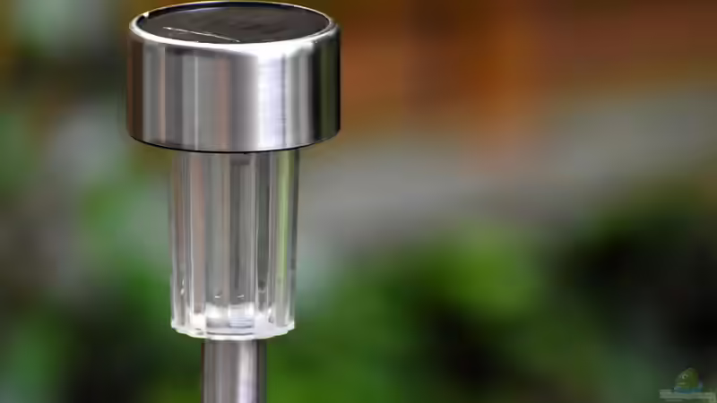 Blog: Solarleuchten: Nachhaltige Beleuchtung für jeden Garten (7403)