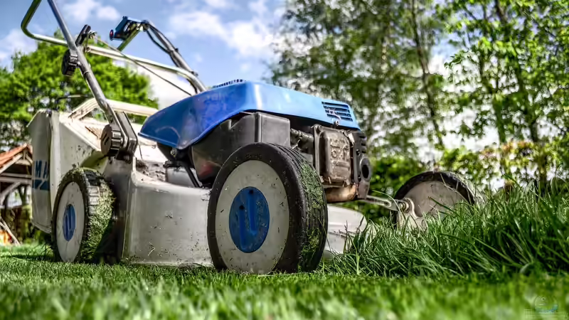 Blog: Sonntagsruhe im Garten: Das ist erlaubt - und das solltest du unbedingt beachten (7716)