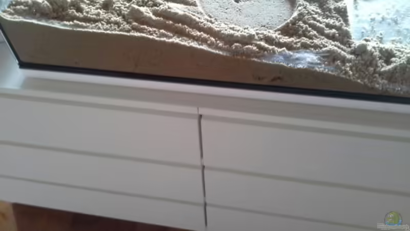 Blog: Spielsand: Der geeignete Bodengrund für dein Aquarium? (6578)
