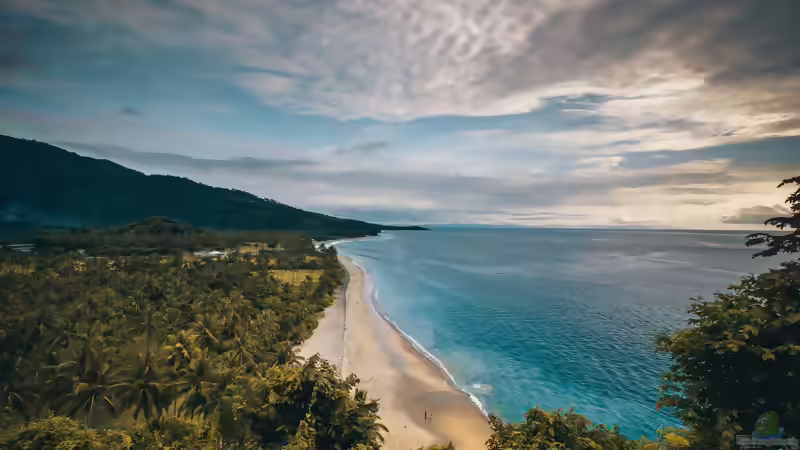 Blog: Sumatra - Mehr als die Heimat der Sumatrabarbe (8154)