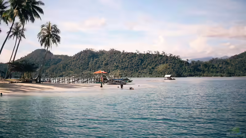 Blog: Sumatra - Mehr als die Heimat der Sumatrabarbe (8154)