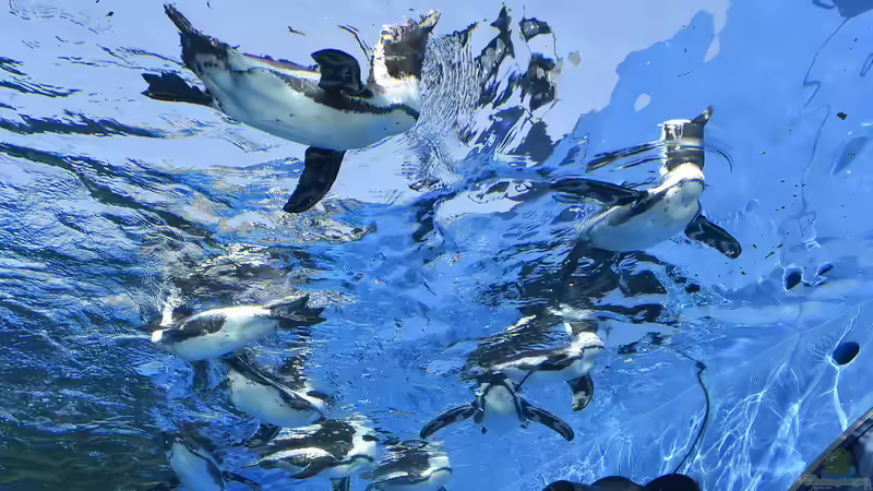 Blog: Sunshine Aquarium in Ikebukuro, Tokio - Das faszinierende Meeresparadies über den Dächern der Stadt (7382)