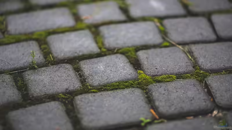 Blog: Terrassengestaltung: Was sind die besten Materialien? (6375)