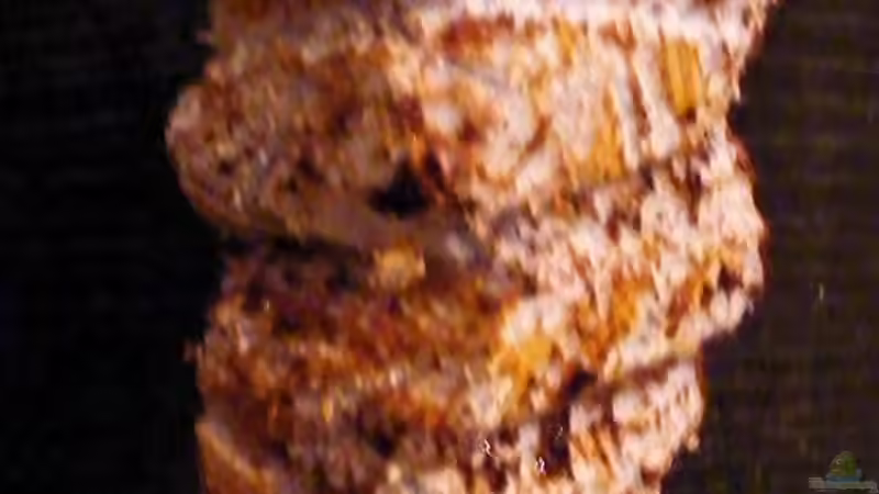 Blog: The Stone Pillars of the Ngwaritsane-  The Beginning (3536)
