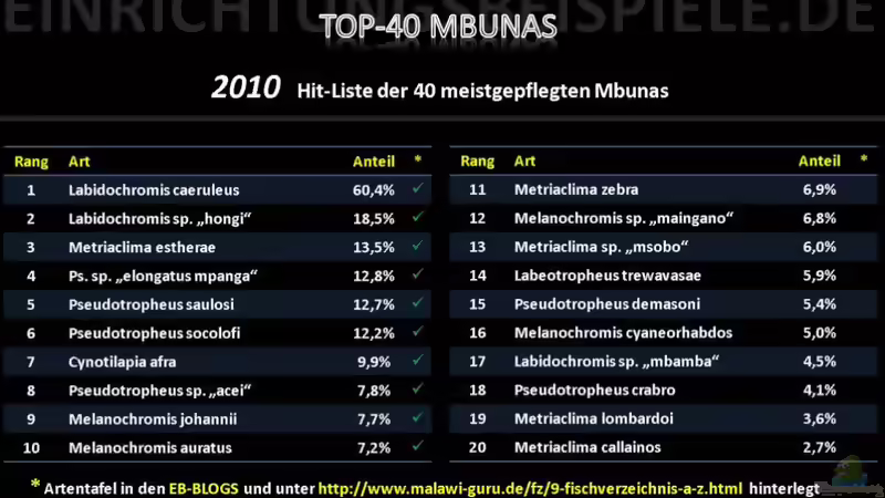 Blog: TOP-MALAWIS auf Einrichtungsbeispiele.de (3735)