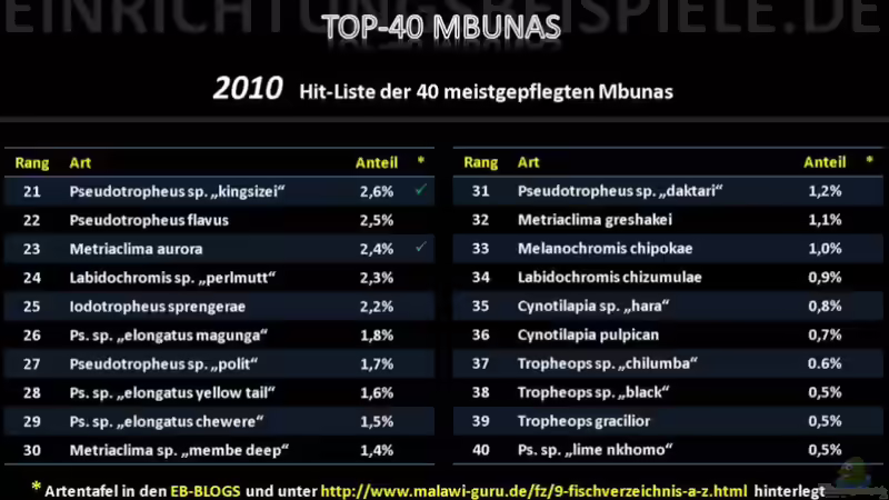 Blog: TOP-MALAWIS auf Einrichtungsbeispiele.de (3735)