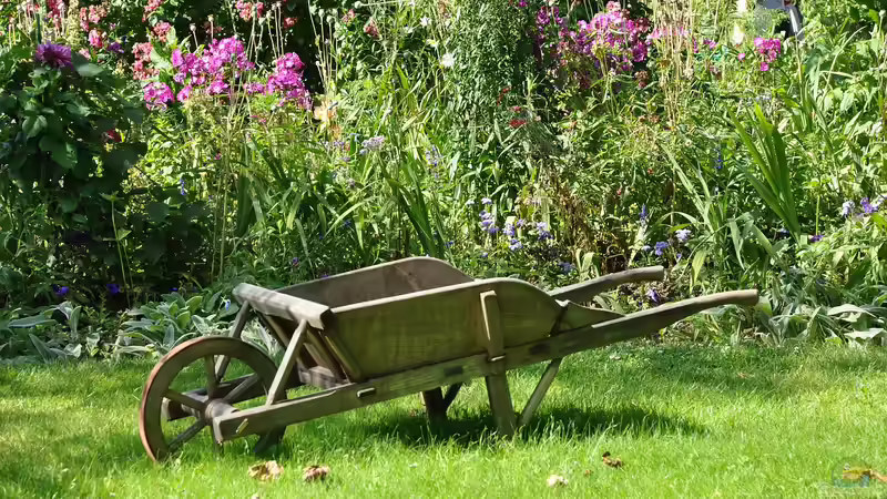 Blog: Unpassende Pflanzenkombinationen im Garten (7621)