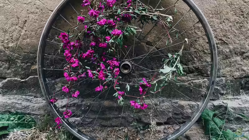 Blog: Upcycling: Das kannst du nachhaltig in deinem Garten umsetzen (7110)