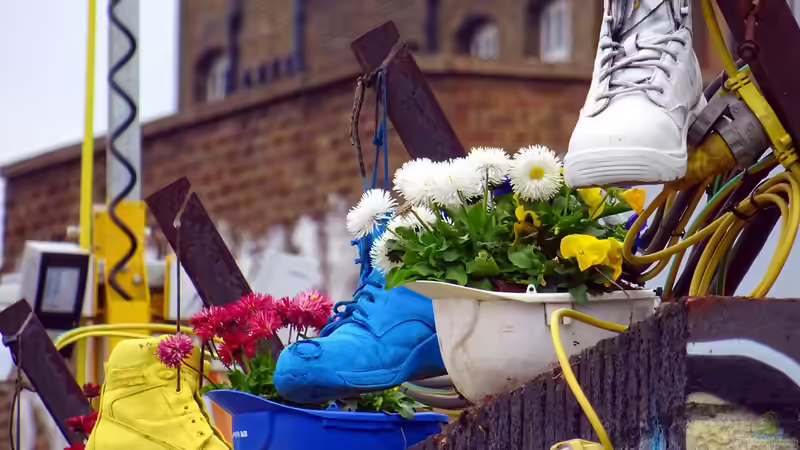 Blog: Upcycling: Das kannst du nachhaltig in deinem Garten umsetzen (7110)