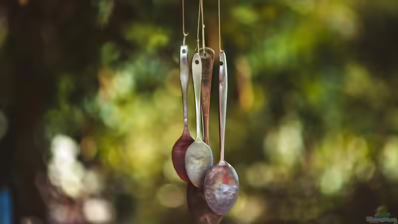 Blog: Upcycling: Das kannst du nachhaltig in deinem Garten umsetzen (7110)