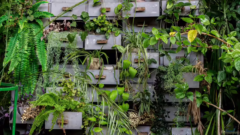 Blog: Upcycling: Das kannst du nachhaltig in deinem Garten umsetzen (7110)