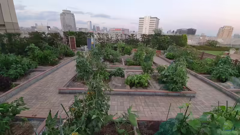 Blog: Urban Gardening: Grüne Oasen mitten in der Stadt (6100)