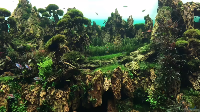 Blog: Urlaub auf Teneriffa Teil 2 ??? Das neuen ZEN Aquarium seit 2018 im Loro Parque! (5324)