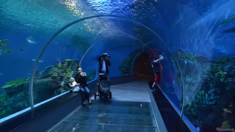 Blog: Urlaubstipp: Aquarium Blue Planet in Kopenhagen (6350)