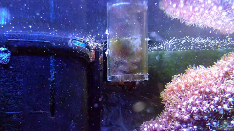 Blog: Verdunstung im Aquarium: Ausgleich mit einer automatischen Nachfüllanlage (6999)