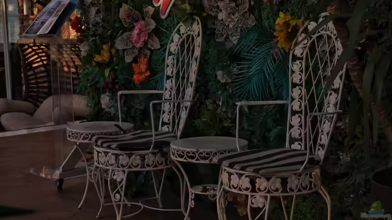 Blog: Vintage-Möbel für Terrasse und Garten - Warum der Retro-Look draußen gerade so angesagt ist (7496)