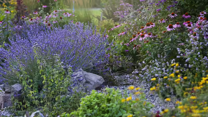 Blog: Warum finden immer mehr Menschen Gefallen am Trend ´Naturgarten´? (7974)