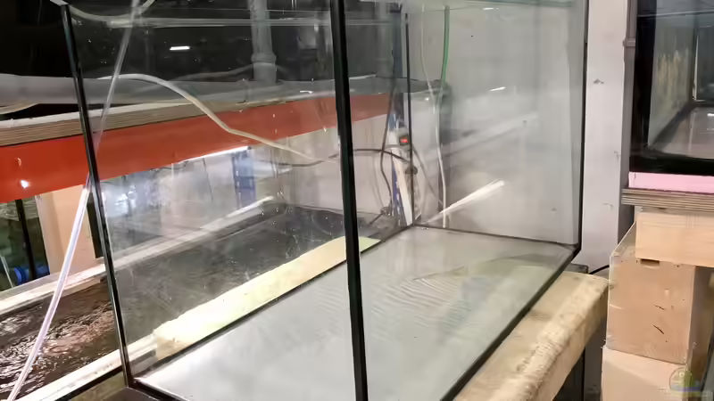 Blog: Was ist eigentlich ein gro??es Aquarium? (5441)