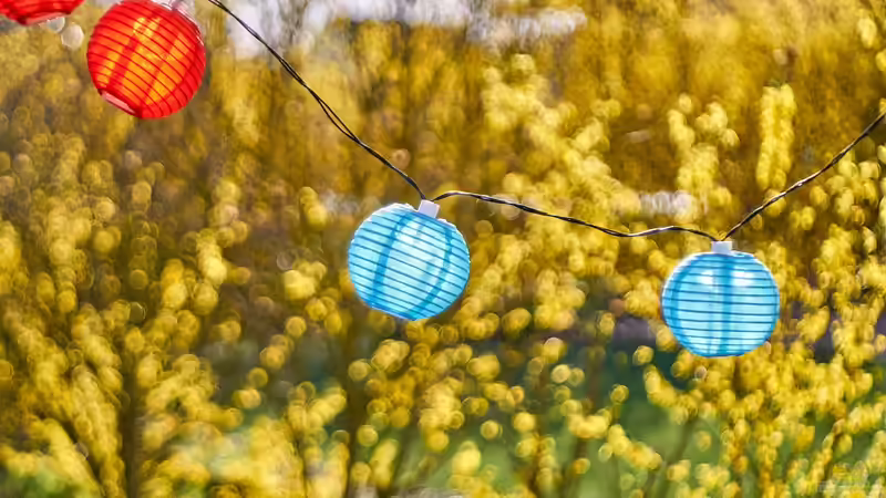 Blog: Weihnachtsdekoration im Garten: Stimmungsvoll oder Lichtverschmutzung (6596)