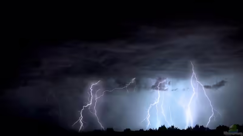 Blog: Wenn das Unwetter den Garten trifft (7059)