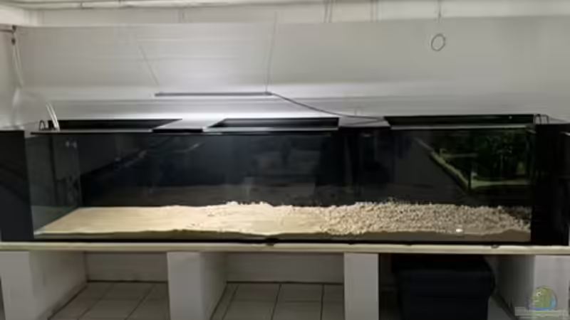 Blog: Wie hoch sollte der Bodengrund im Aquarium sein? (6621)