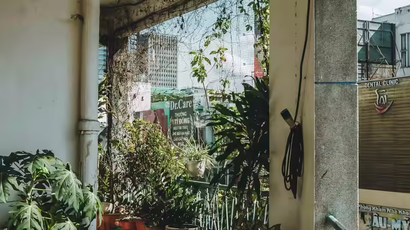 Blog: Wildbienenpflanzen für den Balkon - So machst du deinen Balkon zum Paradies für Bestäuber (7250)