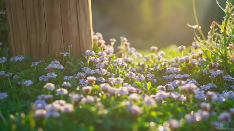 Blog: Wildblumenflächen im Garten - lebendige Vielfalt statt perfektem Rasen (7736)