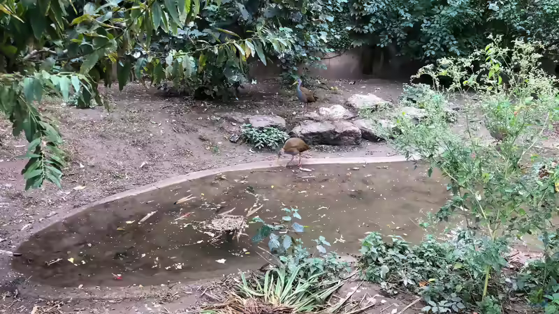 Blog: WILHELMA 1 - Zoologisch-Botanischer Garten in Stuttgart (5300)