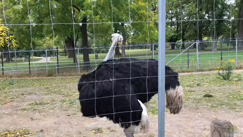 Blog: WILHELMA 1 - Zoologisch-Botanischer Garten in Stuttgart (5300)