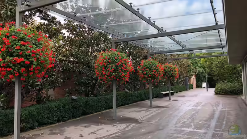 Blog: WILHELMA 1 - Zoologisch-Botanischer Garten in Stuttgart (5300)