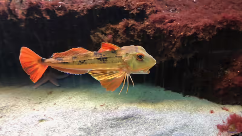 Blog: WILHELMA 3 - Zoologisch-Botanischer Garten in Stuttgart (5301)