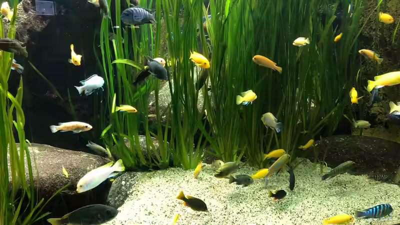 Blog: WILHELMA 4 - Zoologisch-Botanischer Garten in Stuttgart (5303)