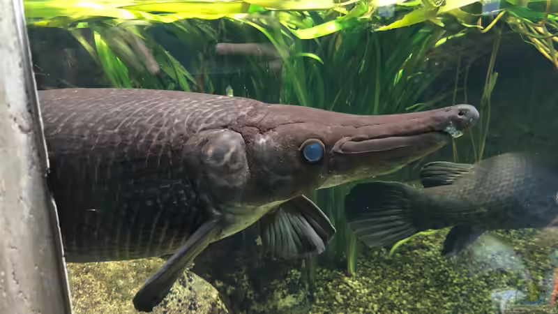 Blog: WILHELMA 4 - Zoologisch-Botanischer Garten in Stuttgart (5303)