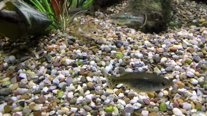 Blog: WILHELMA 4 - Zoologisch-Botanischer Garten in Stuttgart (5303)