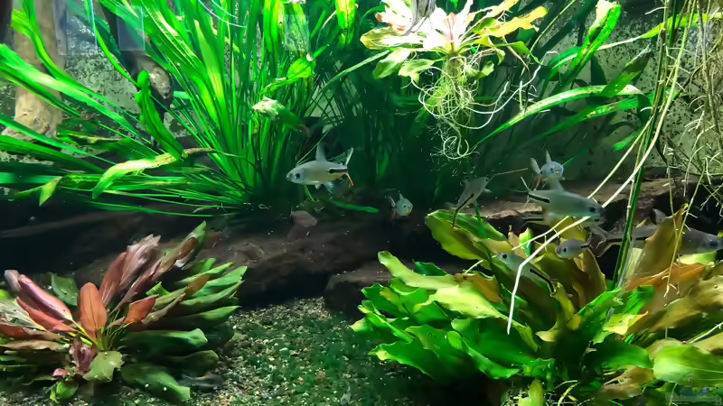 Blog: WILHELMA 4 - Zoologisch-Botanischer Garten in Stuttgart (5303)